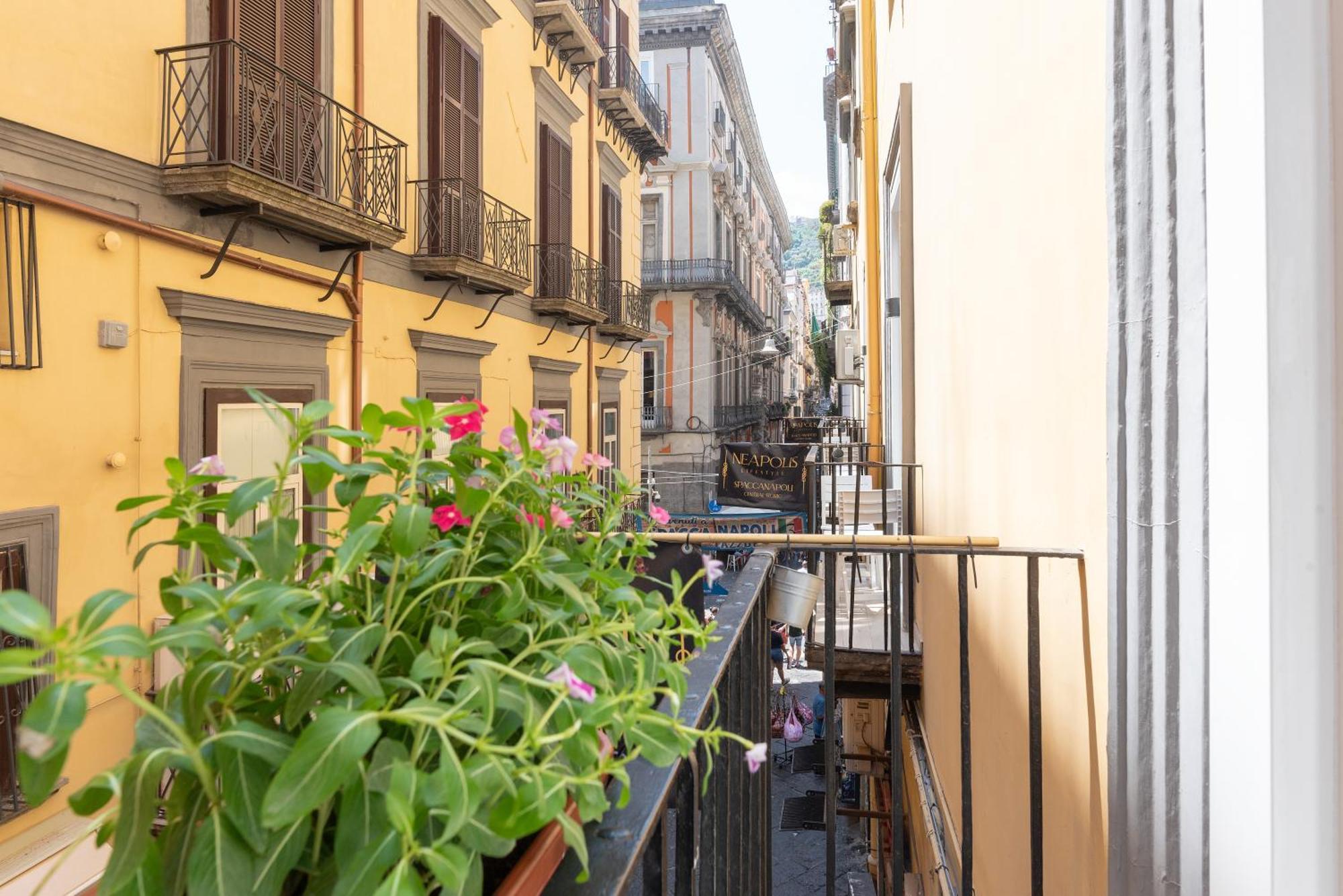 Alojamento de Acomodação e Pequeno-almoço Neapolis Lifestyle