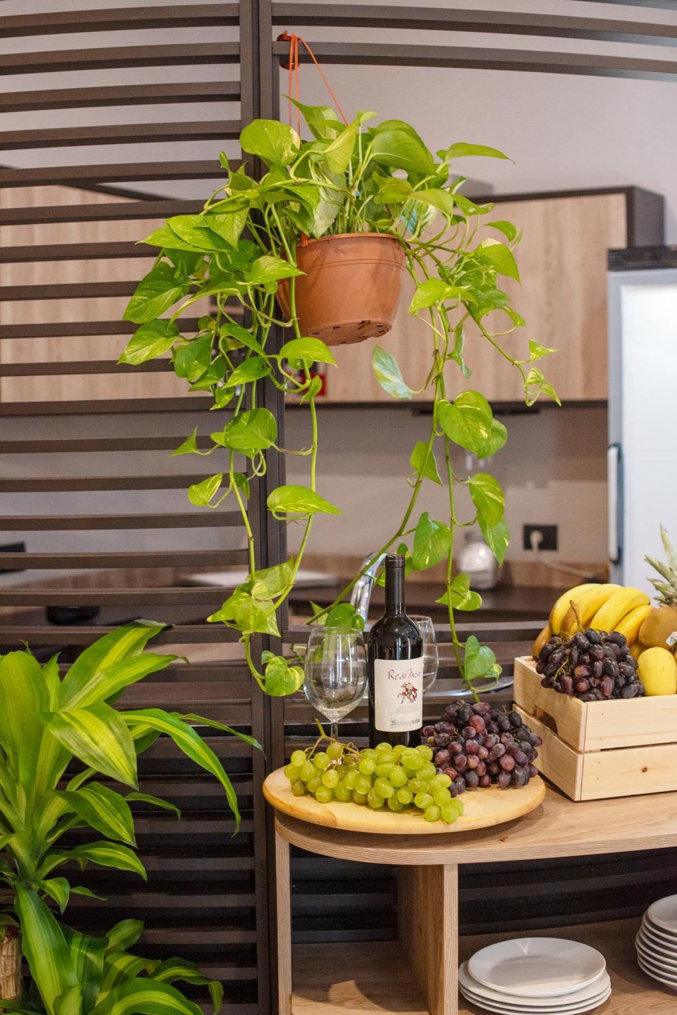 Neapolis Lifestyle Alojamento de Acomodação e Pequeno-almoço *